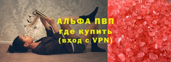 ГАЛЛЮЦИНОГЕННЫЕ ГРИБЫ Аркадак