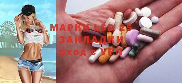 ГАЛЛЮЦИНОГЕННЫЕ ГРИБЫ Аркадак